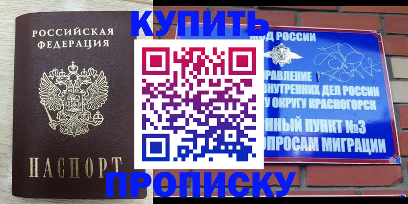 прописка гарантия в Балаково